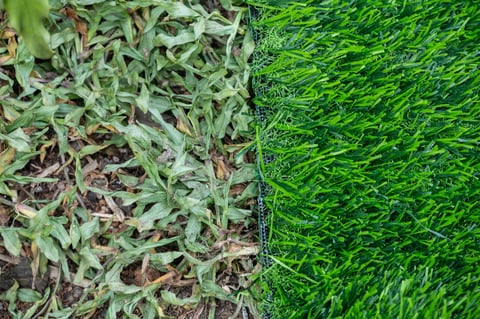 Clean refreshed artificial turf