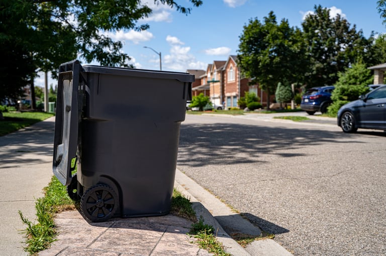 Trash can and bin cleaning service