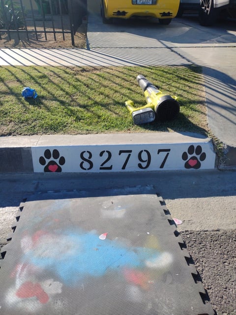 Dog toys scattered on grass near a curb marked with paw prints and the number 82797, with a yellow taxi visible in background