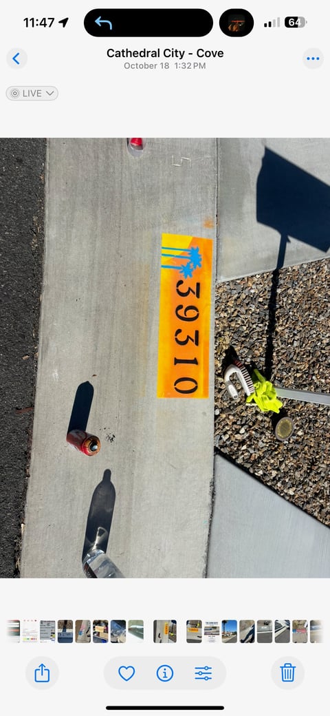 Overhead view of concrete surface with yellow scale marked 3910, two black dive fins, and yellow-green diving equipment at Cathedral City Cove