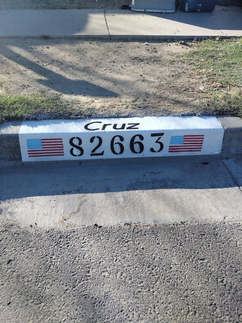 Outdoor address marker painted on a concrete curb showing Cruz 82663 with American flag designs