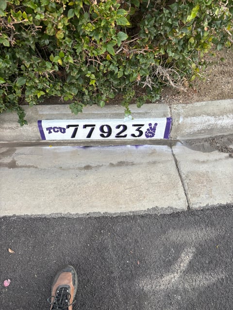 Purple and white license plate TCU 779238 placed on concrete curb next to street and green foliage