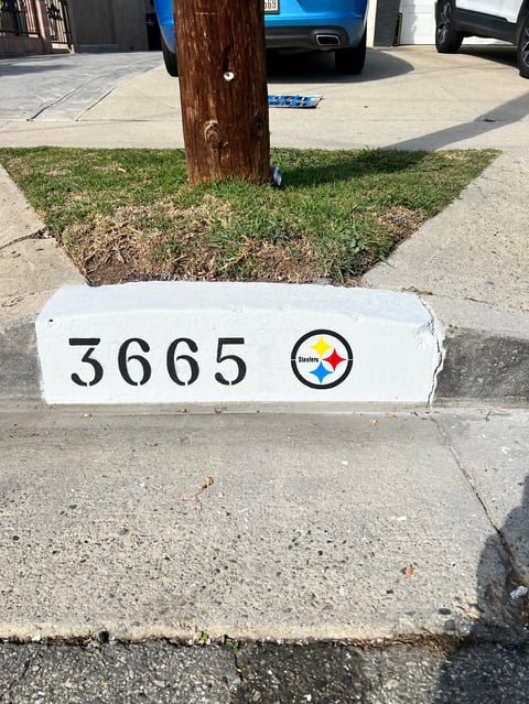 White curb with address 3665 and Steelers logo in front of a tree and parked cars